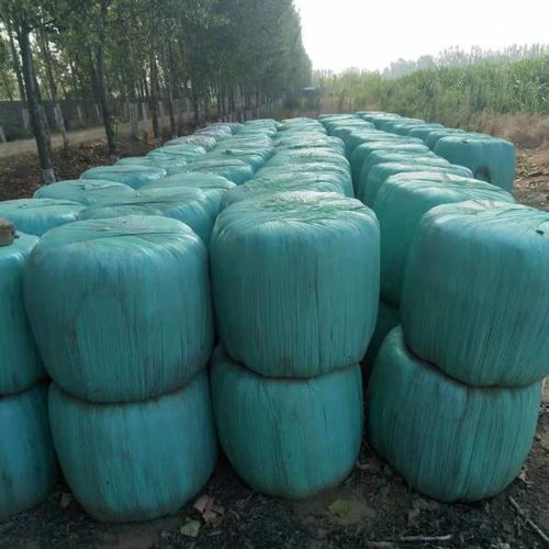 南昌塑料薄膜與新型膜材料 深耕青貯拉伸膜的專(zhuān)業(yè)制造與創(chuàng)新銷(xiāo)售